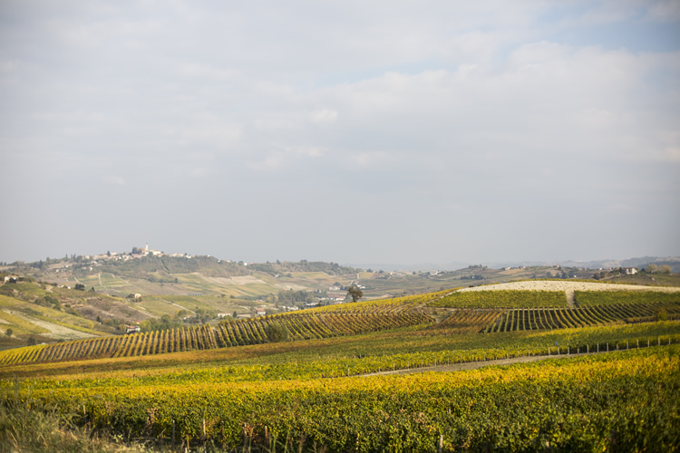 Prenota una degustazione vini nel territorio del Monferrato, patrimonio Unesco.